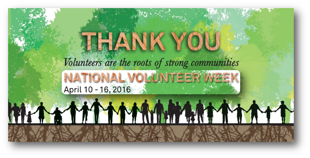 NVW2016_banner